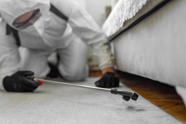 Professional Termite Control technician working in San Carlos, TX