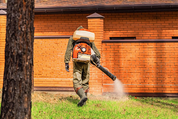 Trusted Termite Control service in San Carlos, TX - Nex Pest Control